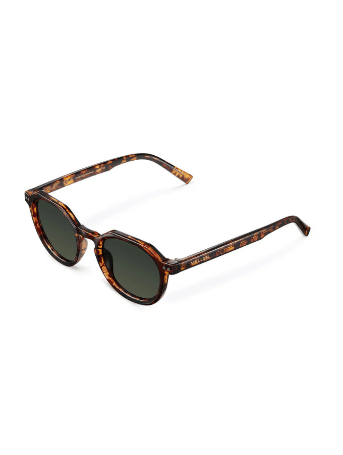 Lentes de Sol - Achawen Tigris Olive marron talle unico