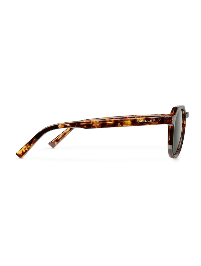 Lentes de Sol - Achawen Tigris Olive marron talle unico