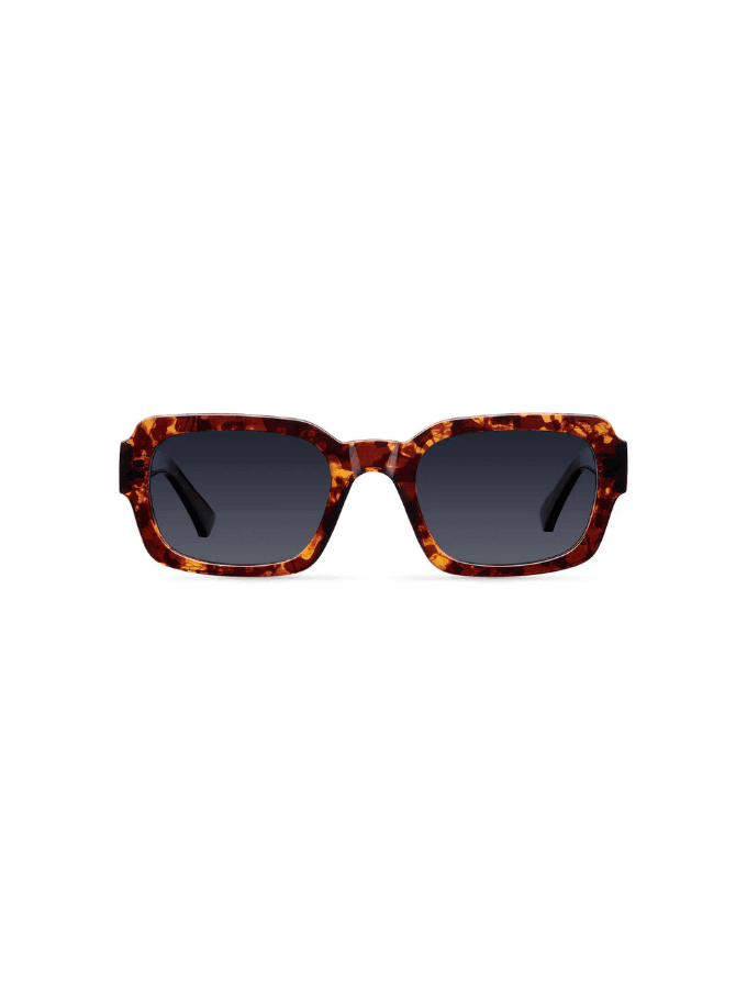 Lentes de Sol - Lewa Tigris Carbon marron talle unico