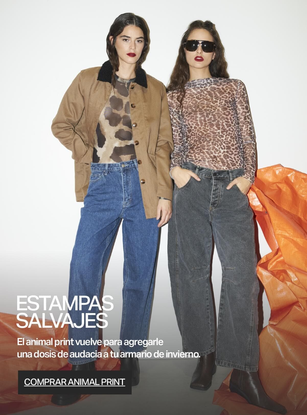 promoción