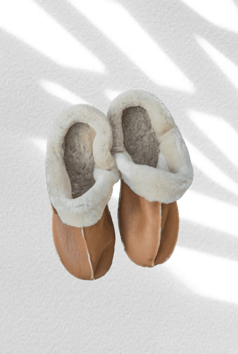 House Shoe